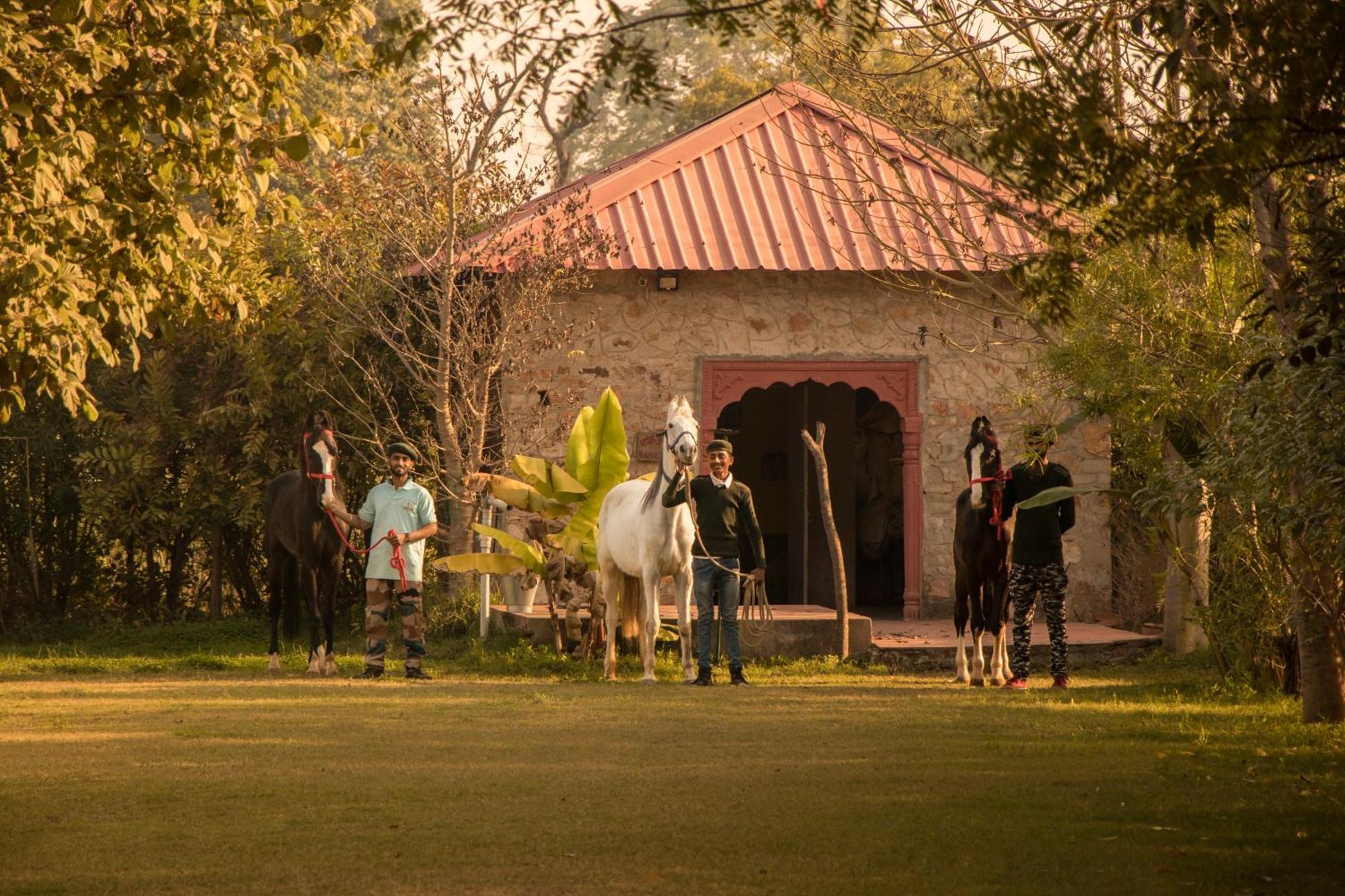 Maa Ashapura Resort Sawai Madhopur Exterior photo